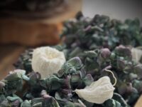 紫陽花リース＆スワッグのworkshop開催予定image