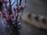 桃の節句🎎🌸image